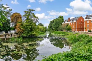 River Mole- click for photo gallery